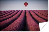 Luchtballon zweeft op een een lavendel veld Poster 60x40 cm - Foto print op Poster (wanddecoratie woonkamer / slaapkamer) / Voertuigen Poster