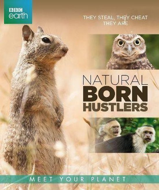 BBC Earth - Natural Born Hustlers (Blu-ray)