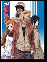 Bleach - Informeel Ingelijste Afdruk