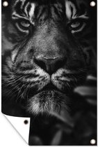 Tuinposter - Tuindoek - Tuinposters buiten - Close-up van een tijger in de jungle - zwart wit - 80x120 cm - Tuin