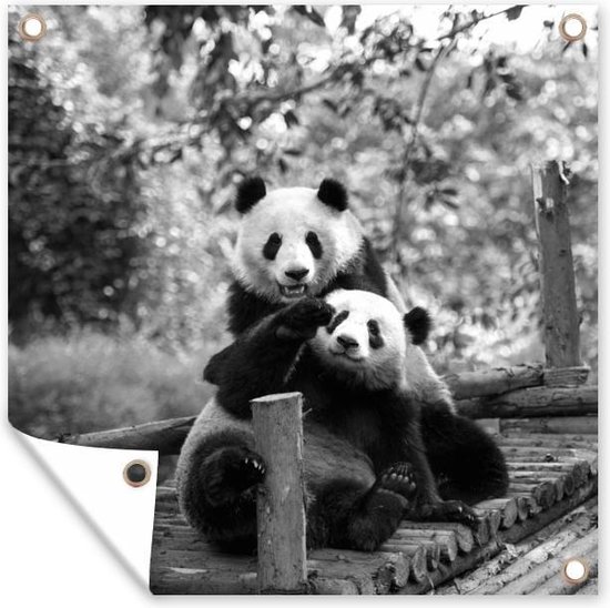 Tuinposters Twee panda's - zwart wit - 50x50 cm - Tuindoek - Buitenposter