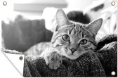 Posters de jardin extérieur Chat couché dans un panier - noir et blanc - 90x60 cm - Toile de jardin