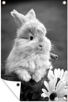 Tuinposter - Tuindoek - Tuinposters buiten - Baby konijn in een emmer - zwart wit - 80x120 cm - Tuin