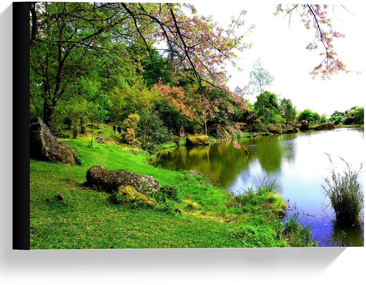 KuijsFotoprint Canvas - Rivier bij Bos - 40x30cm Foto op Canvas Schilderij (Wanddecoratie op Canvas) Groen