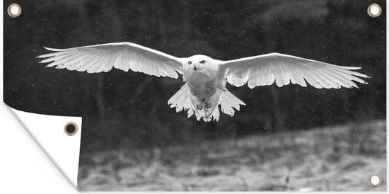 Tuinposter Sneeuwuil vliegt met gestrekte vleugels - zwart wit - 60x30 cm - Tuindoek - Buitenposter
