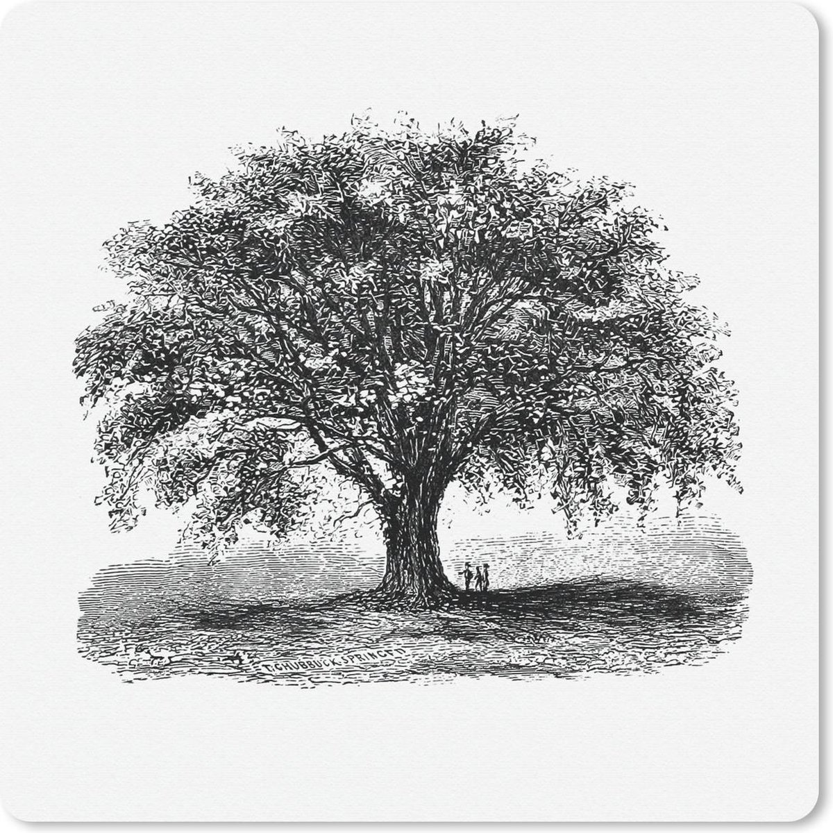 Muismat 30x30 cm - Mousepad Vintage - Boom - Natuur - Muismatten