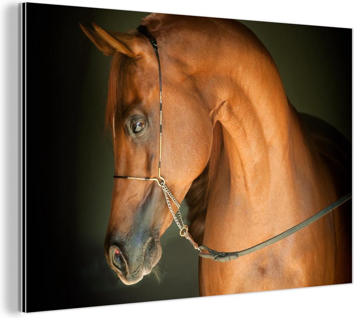 Cheval - Art mural en métal | Decor – Achetez maintenant
