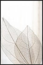 JUNIQE - Poster in kunststof lijst Skeleton Leaves -20x30 /Ivoor