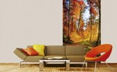 Dimex Forest Walk Vlies Fotobehang 150x250cm 2-banen