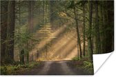 Affiche Forêt - Arbre - Chemin - 120x80 cm