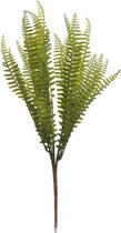 Decoratieve plant DKD Home Decor Groen Metaal Plastic (25 x 25 x 4 cm)