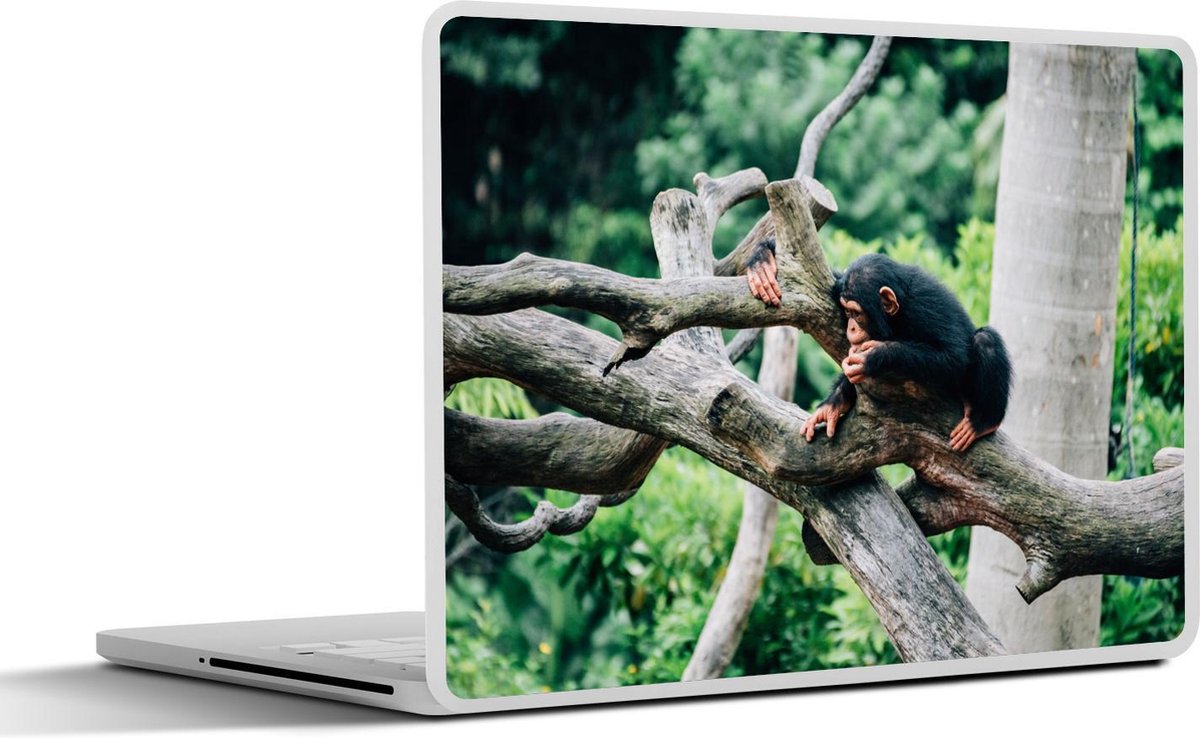 Laptop sticker - 12.3 inch - Jonge chimpansee in de jungle - 30x22cm - Laptopstickers - Laptop skin - Cover