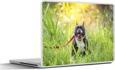 Laptop sticker - 12.3 inch - Franse Bulldog - Gras - Hondenlijn - 30x22cm - Laptopstickers - Laptop skin - Cover