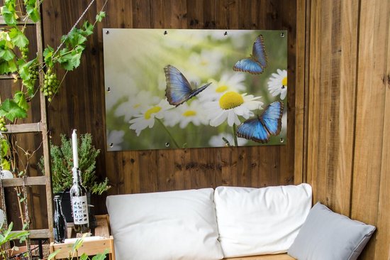 Poster de jardin Fleurs - Papillons - Été - 120x80 cm - Jardin