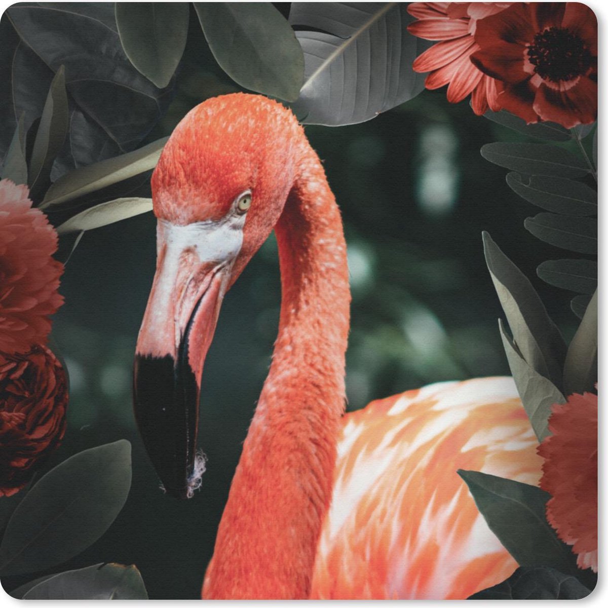 Muismat 30x30 cm - Mousepad Flamingo - Bloemen - Bladeren - Veren - Muismatten