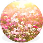 WallCircle - Wandcirkel ⌀ 90 - Zonsondergang - Bloemen - Roze - Ronde schilderijen woonkamer - Wandbord rond - Muurdecoratie cirkel - Kamer decoratie binnen - Wanddecoratie muurcirkel - Woonaccessoires