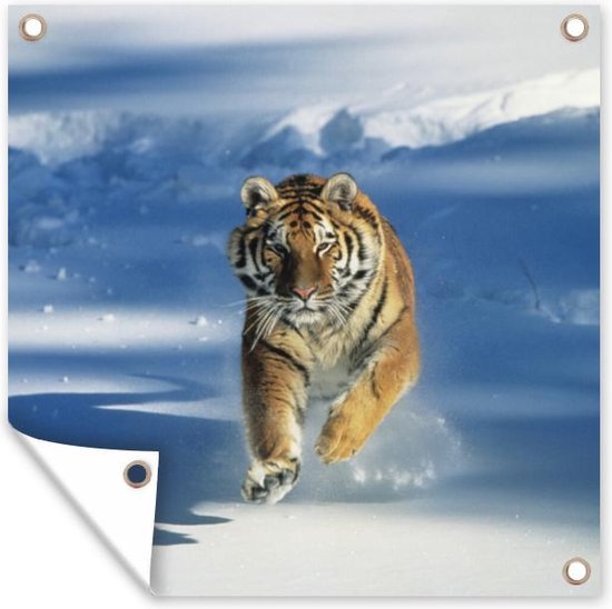 Tuinposters Siberische tijger in actie in de sneeuw - 50x50 cm - Tuindoek - Buitenposter