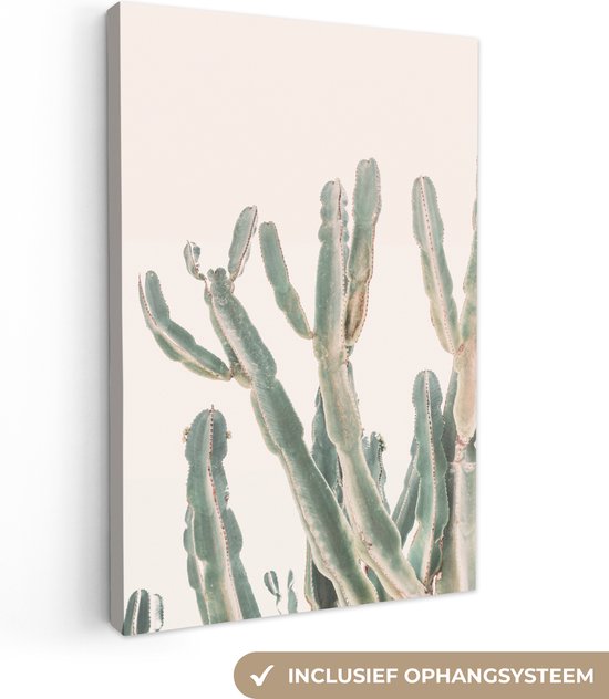 Canvas Schilderij Cactus - Plant - Groen - Natuur - 40x60 cm - Wanddecoratie