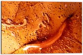 Dibond - Textuur in Mix van Oranje Tinten - 60x40 cm Foto op Aluminium (Wanddecoratie van metaal)
