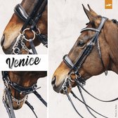 Schockemohle Venice Anatom. Double Bridle - Black/Patent/Silver - Maat Full
