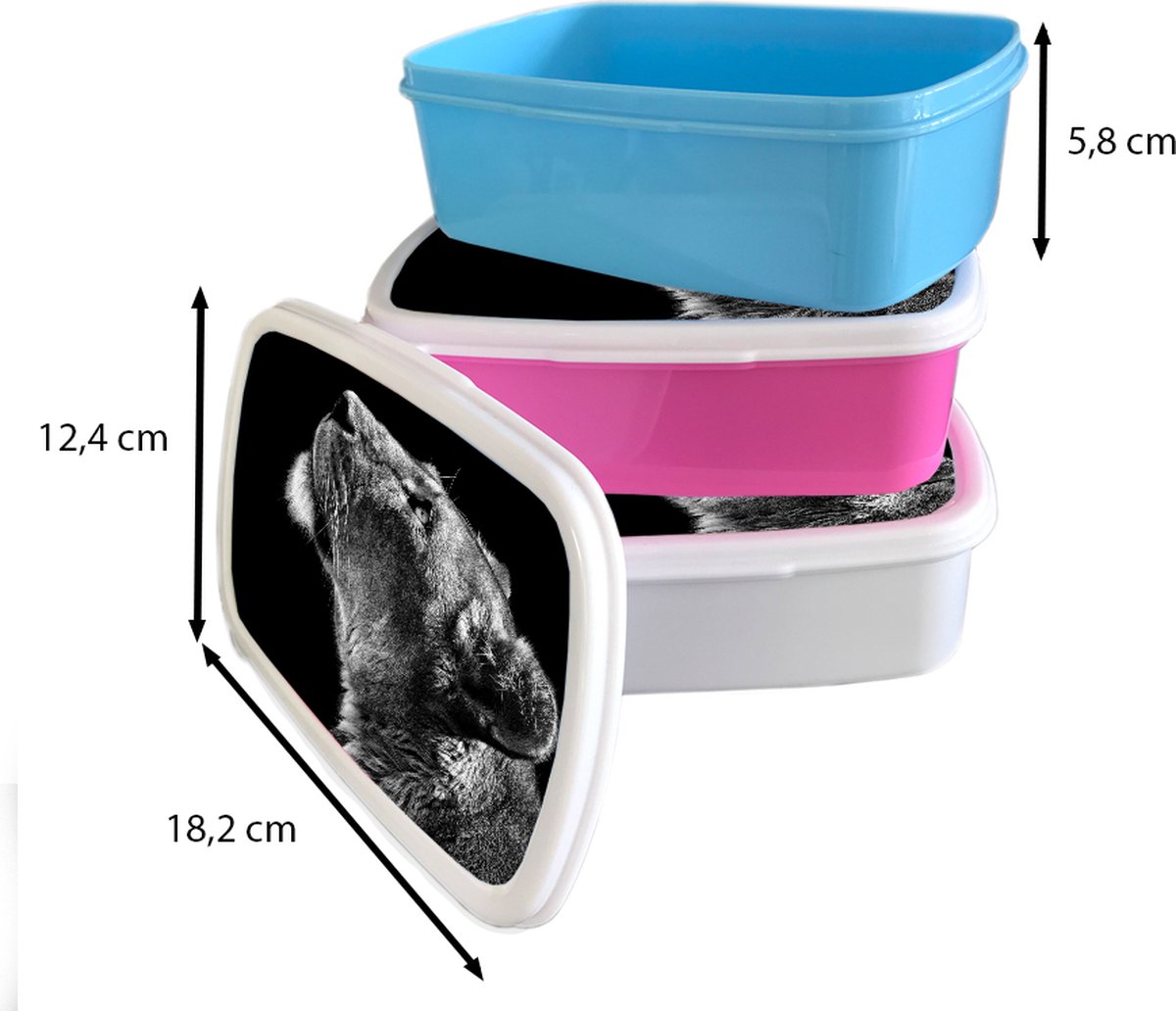 Broodtrommel Wit - Lunchbox - Brooddoos - Leeuw - Dieren - Zwart wit - 18x12x6 cm - Volwassenen