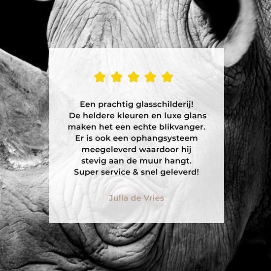 MuchoWow - Peinture sur verre - Photo sur verre - Peinture sur verre - Verre acrylique - Animaux - Rhinocéros - Zwart - Wit - Décoration murale - 90x60 cm - Salon - Décoration murale animaux - Décoration maison