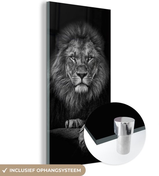 Glasschilderij leeuw - Zwart - Wit - Dieren - Foto op glas - Wanddecoratie glas - 40x80 cm - Woondecoratie - Schilderij glas - Muurdecoratie woonkamer - Glasplaat