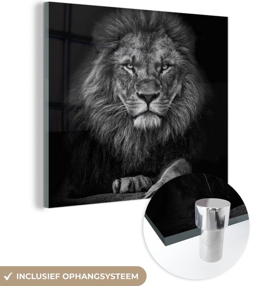 Glasschilderij leeuw - Zwart - Wit - Dieren - Foto op glas - Wanddecoratie glas - 90x90 cm - Woondecoratie - Schilderij glas - Muurdecoratie woonkamer - Glasplaat
