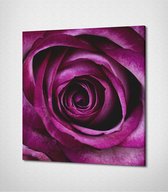 Purple Flower Canvas - 20 x 20 cm - Bloemen - Schilderij - Canvas - Slaapkamer - Wanddecoratie  - Slaapkamer - Foto op canvas