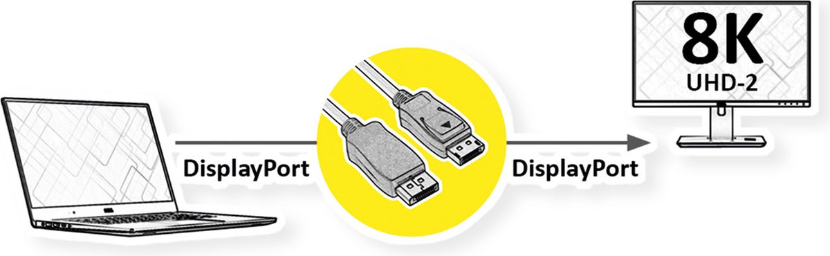 ROLINE DisplayPort-kabel, v2.0, DP M - M, zwart, 2 m