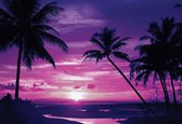 Fotobehang Beach Tropical Sunset Palms | XXL - 312cm x 219cm | 130g/m2 Vlies