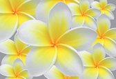 Fotobehang Floral Pattern | DEUR - 211cm x 90cm | 130g/m2 Vlies