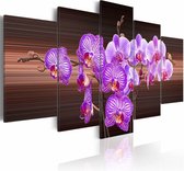 Schilderij - Bloemen van vreugde - Orchidee , bruin paars , 5 luik