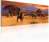 Schilderij - Het marcheren van Olifanten, Afrika, multi-gekleurd, premium print