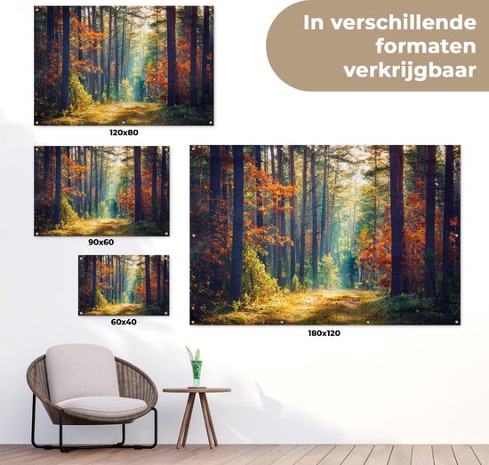 Affiche jardin - Toile jardin - Affiches jardin extérieur - Forêt - Soleil - Nature - Automne - Posters de jardin cm - Jardin