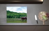 Inductieplaat Beschermer - Buffalo bij Groen Weiland aan de Rand van Bos - 60x52 cm - 2 mm Dik - Inductie Beschermer van Vinyl