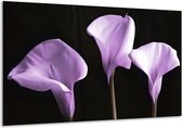 Peinture sur toile Fleur | Violet, blanc | 120x70cm 1Hatch