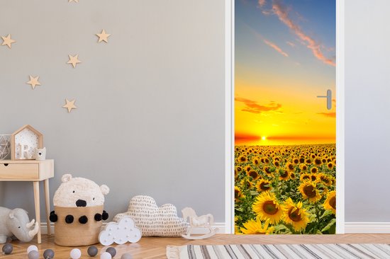 Zonnebloemenveld bij zonsondergang, oranje lucht met wolken.