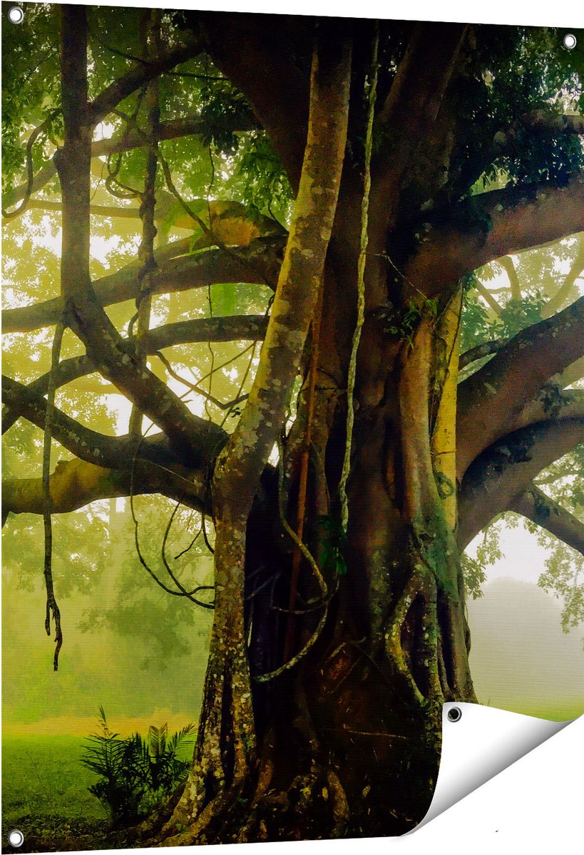 Gards Tuinposter Grote Levensboom met Veel Takken - 80x100 cm - Tuindoek - Tuindecoratie - Wanddecoratie buiten - Tuinschilderij Multikleur