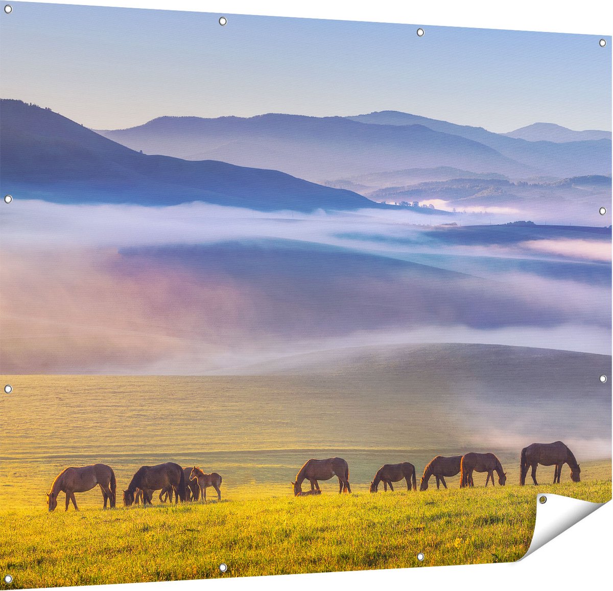 Gards Tuinposter Kudde Wilde Paarden in de Wei bij Heuvels - 150x120 cm - Tuindoek - Tuindecoratie - Wanddecoratie buiten - Tuinschilderij Multikleur