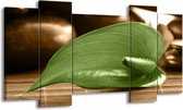 GroepArt - Schilderij - Blad - Groen, Bruin - 120x65 5Luik - Foto Op Canvas - GroepArt 6000+ Schilderijen 0p Canvas Art Collectie - Wanddecoratie
