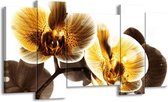 GroepArt - Schilderij - Orchidee - Geel, Bruin, Wit - 120x65 5Luik - Foto Op Canvas - GroepArt 6000+ Schilderijen 0p Canvas Art Collectie - Wanddecoratie