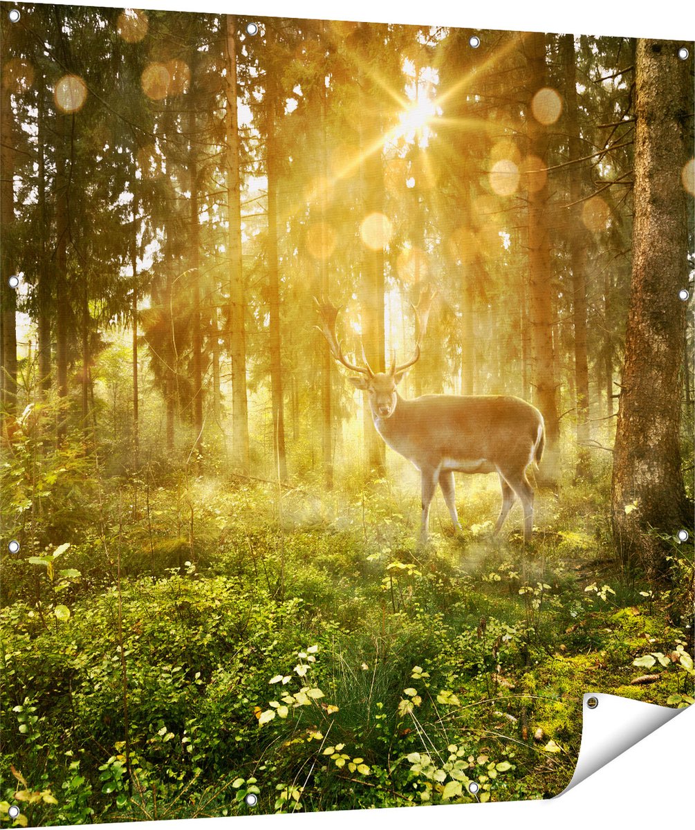 Gards Tuinposter Hert in Bos met Zon - 120x120 cm - Tuindoek - Tuindecoratie - Wanddecoratie buiten - Tuinschilderij Multikleur