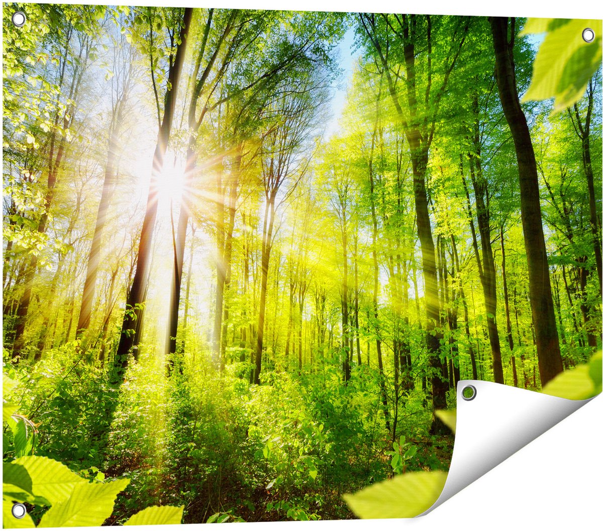 Gards Tuinposter Weg Omringd met Bomen in het Bos - 80x60 cm - Tuindoek - Tuindecoratie - Wanddecoratie buiten - Tuinschilderij Multikleur