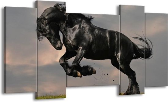GroepArt - Schilderij - Paarden - Zwart, Wit, Grijs - 120x65 5Luik - Foto Op Canvas - GroepArt 6000+ Schilderijen 0p Canvas Art Collectie - Wanddecoratie