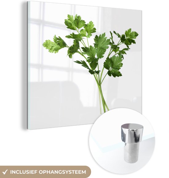 Persil sur fond blanc Plexiglas 90x90 cm - Tirage photo sur Glas (décoration murale plexiglas)