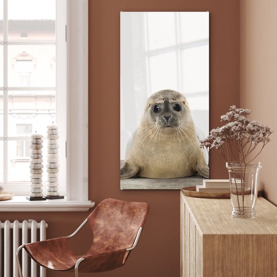 MuchoWow® Peinture sur Verre - Phoque - Animaux - Enfant - Garçons - Filles - Enfants - 60x120 cm - Peintures sur Verre Peintures - Photo sur Glas