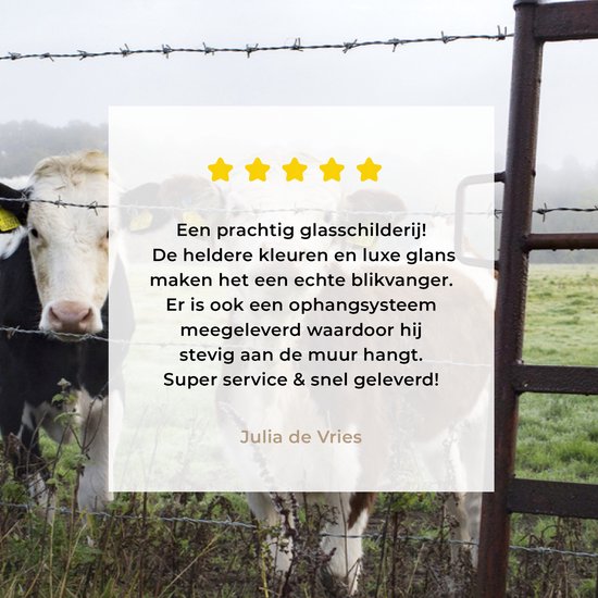 Deux jeunes vaches frisonnes derrière une clôture en fil de fer barbelé Plexiglas 90x60 cm - Tirage photo sur Glas (décoration murale en plexiglas)