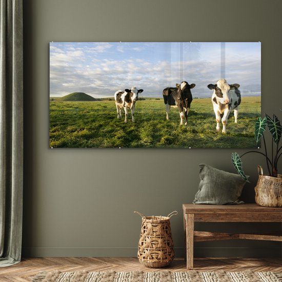 Trois vaches frisonnes dans un cadre magnifique Plexiglas 160x80 cm - Tirage photo sur verre (décoration murale plexiglas)