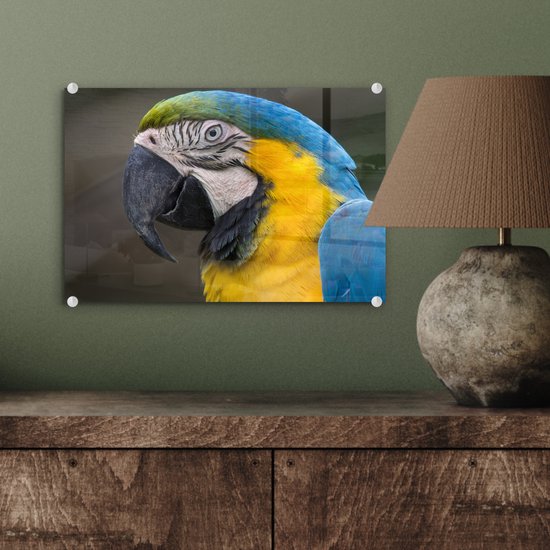 Tirage photo ara bleu et jaune sur Verre 30x20 cm - petit - Tirage photo sur verre (décoration murale en plexiglas)